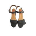 Jellypop  women's wedge heels sandals blck strappy size 12 Photo 1