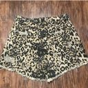 Buddy Love Cheetah Denim Shorts Photo 1