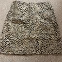 Brandy Melville Leopard Skirt Photo 0