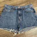 Victoria's Secret PINK  Demin Shorts size 29 Photo 0