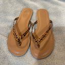 J.Crew  Cheetah Print Easy Summer Flip Flop Sandals Photo 1