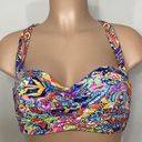 Bleu Rod Beattie New.  Groovy Baby bikini set. Size-40D/18W Photo 9