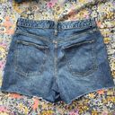 Universal Threads universal thread jean shorts Photo 1