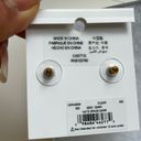 Kate Spade  New York That Sparkle Studs Earring Gold/Clear NWT Photo 2