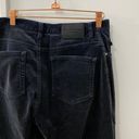 Ralph Lauren Polo Velvet Navy Blue Pants Photo 4