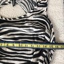 Divided Zebra Animal Print Dress Black White Medium Photo 6