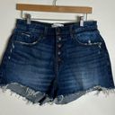 Abercrombie & Fitch  high rise fly button mom shorts curve love size 30 Photo 0