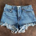 Abercrombie & Fitch The Mom Short High Rise / Size 10 Photo 0