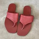 Everlane  The Leather Thong Sandal Photo 3