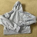 Brandy Melville NWT!!  John Galt Gray Cropped Hoodie Sweatshirt Bin 48 Photo 3