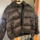 American Eagle Outfitters Puffer Coat Photo 0