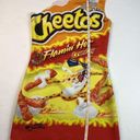 Spirit Officially Licensed Flamin' Hot Cheetos Halloween Dress Costume Size Small Photo 6