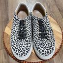 Jack Rogers  Women's Rory Sneaker Lace-Up Round Toe Black/White‎ Dots Size 8M Photo 1