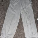 American Eagle Outfitters Sweatpants Photo 0