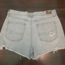 American Eagle Outfitters Shorts Photo 2