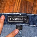 Cato  premium Photo 1