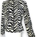 American Vintage Vintage Velvet High Neck Zebra Print Abstract Striped Structured Blazer Jacket M Photo 1