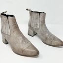 FREEBIRD by Steven  Dane Chelsea Gray Snakeskin Leather Ankle Block Booties US 9 Photo 10