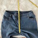 Lane Bryant  Ankle Jeans Zipper Detail at Hem Photo 7