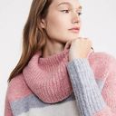 Lou & grey  Wool and Alpaca Plush Striped Turtleneck Sweater Photo 1