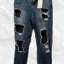 Cello Denim Ripped High Waisted Jeans with Black Mesh Fishnet Photo 0