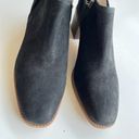 Caslon  Women's Faye Suede Block Heel Booties Size 12M Ankle Boots‎ Zipper… Photo 3