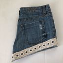 LF  Carmar Charlie HR Denim Shorts, 28 Photo 7