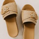 Platform Brown Sandals Size 6 Photo 1