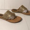 Born concept  slide on Thong sandals women size 9 M Photo 0