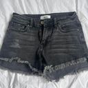 Just Black Denim JBD Jean Shorts Photo 0