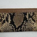 Coach  Madison Python Snake Print Zippy Wallet Wristlet Light Gold Natural Beige Photo 2