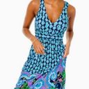 Lilly Pulitzer  Giorgina Maxi Dress Photo 1