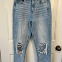 American Eagle Outfitters Mom Jean Photo 0