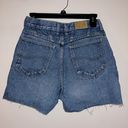 Lee Denim Shorts Photo 1