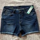 Dear John  Womens Sydney Distressed Fray Hem Short Blue Denim Size 27 NWT Photo 0