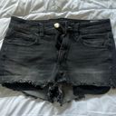 American Eagle Outfitters Jean Shorts Photo 0