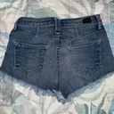 Hidden Jeans Jean Shorts Photo 1