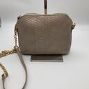 Madison West  FAUX SNAKESKIN CROSSBODY Photo 1