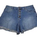 REWASH  Denim Shorts Womens Size 12 Super High Rise Wedgie Button Fly Cutoff Photo 0