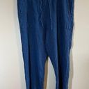 Pure Jill J. Jill Women’s Blue Linen Blend Pants Large Photo 0