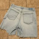Abercrombie & Fitch Shorts Photo 2