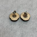 Nintendo Mario Super Mushroom Wooden Stud Earrings Photo 0