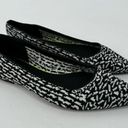 mix no. 6 NWOT  Printed Ballet Flats Pointed Toe Sz 8 Photo 6