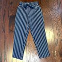 ZARA  Women’s Navy Blue & White Striped Paper Bag Tie Waist Stretchy Pants Photo 1