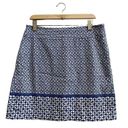 Talbots  Canvas A Line Abstract Print Fully Lined Skirt Size 10 Photo 0