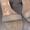 Windsor Heels Photo 5