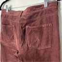 Pilcro  - Brown Fit/Serif Micro Corduroy Pants - Sz. 29 Photo 5