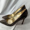 Manolo Blahnik  BB 105 Brown and Gold Glitter Pointed Toe Stiletto Heels Size 40 Photo 2