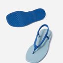 Everlane NWT Blue Strappy Sandal Photo 1