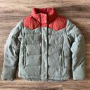 Patagonia  Bivy Goose Down Puffer Jacket RARE Mushroom Pattern Photo 0